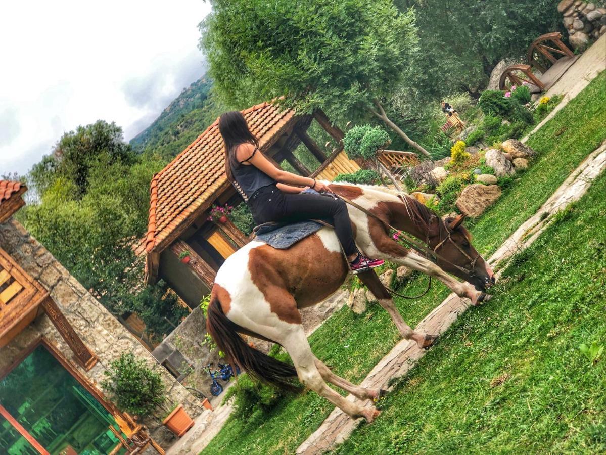 Getahovit Resort Ijevan Exteriér fotografie